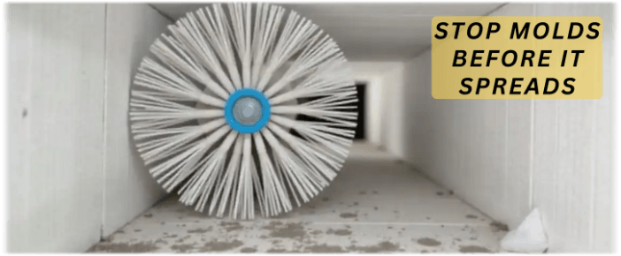 Air Duct Mold Removal in Friendswood