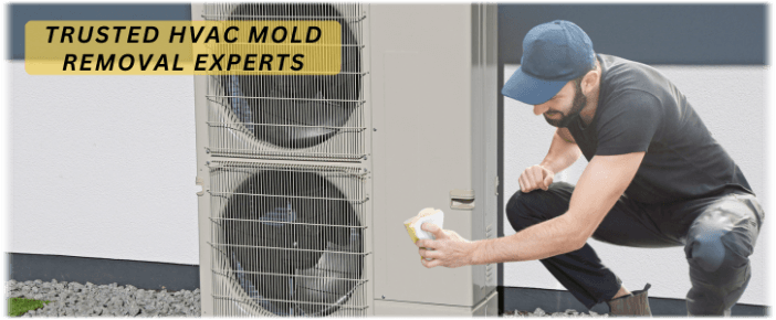 HVAC Mold Removal Friendswood